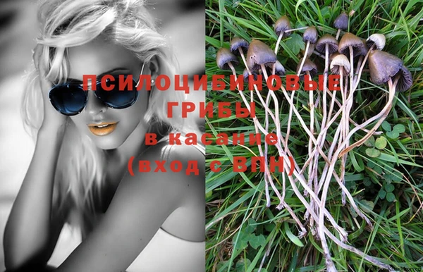 MDMA Premium VHQ Ветлуга