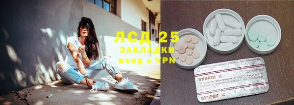 твердый Алексин
