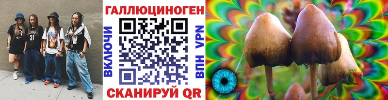 Псилоцибиновые грибы Psilocybe Калачинск