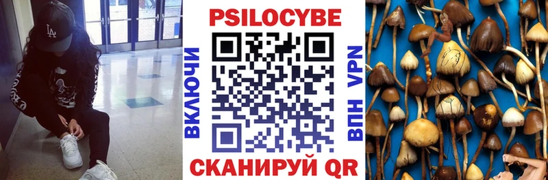 Галлюциногенные грибы Cubensis  Калачинск 