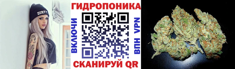 купить закладку  мориарти наркотические препараты  Шишки марихуана план  Калачинск 